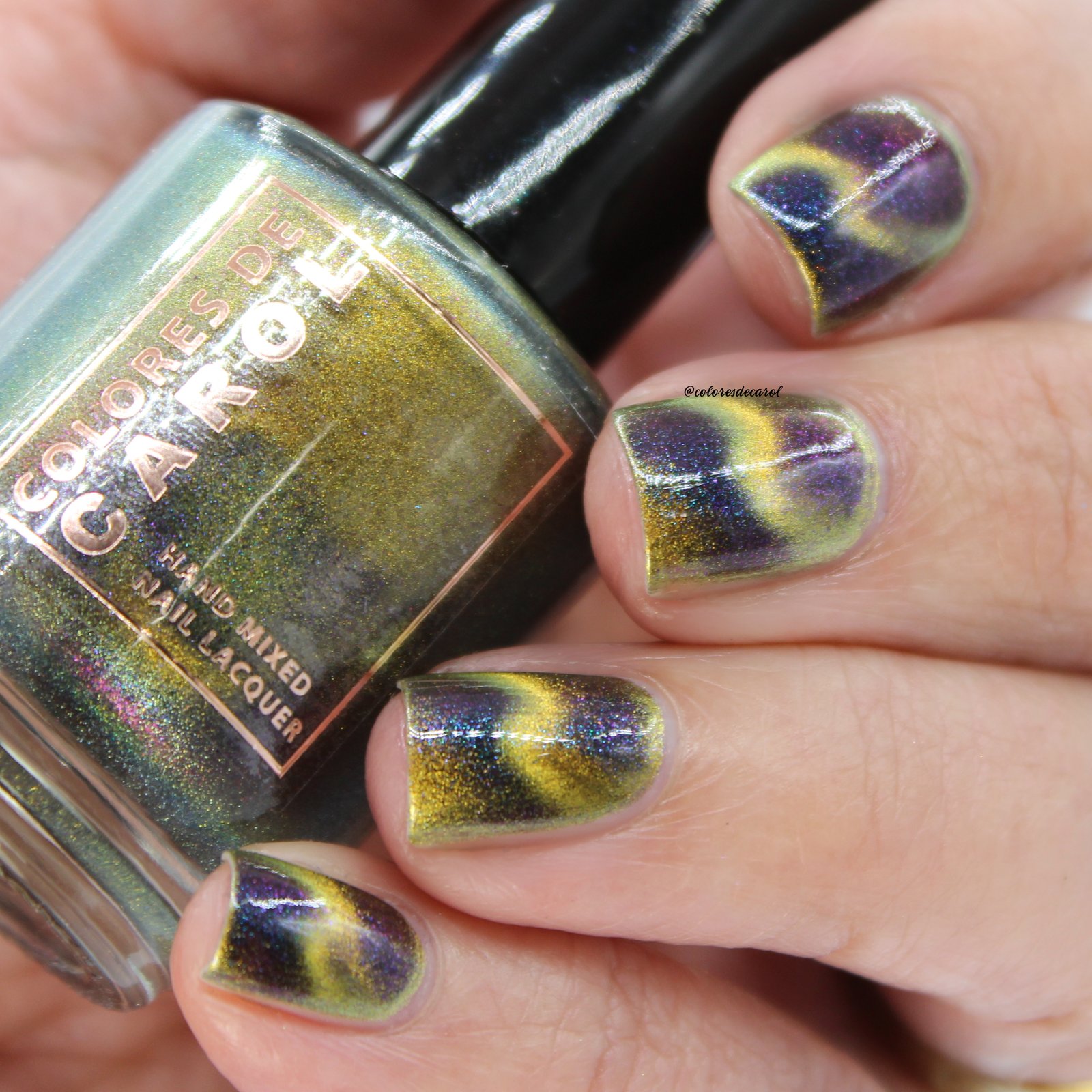 Zig Zag/Cat aEye Magnet | Colores de Carol